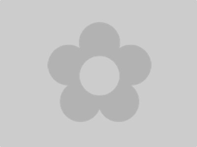 Missing image placeholder